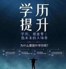 无码热门理论