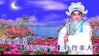 逢月 )无码,探寻神秘月球的奥秘
