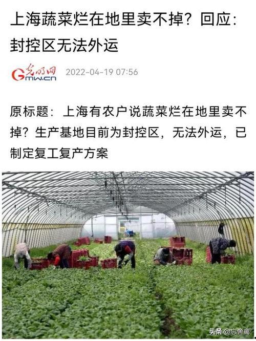 辽宁援沪爆料最新消息,抗疫一线的感人瞬间与挑战纪实