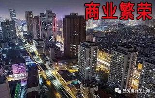 上海市最新爆料,聚焦城市动态与热点事件
