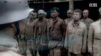 下载日本望乡,日本望乡之旅