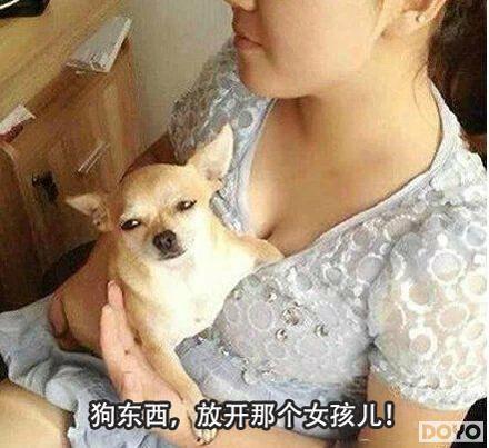 日本少女日狗在线播放