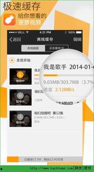 菠萝在线播放器,畅享视听盛宴的全新选择