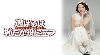 日本洗脑编,塑造服从与忠诚的幕后真相