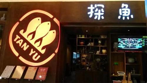 舌尖爆料探店视频,揭秘热门美食背后的故事