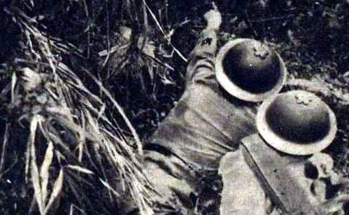 日本人死光,当日本人“死光”后的未来图景