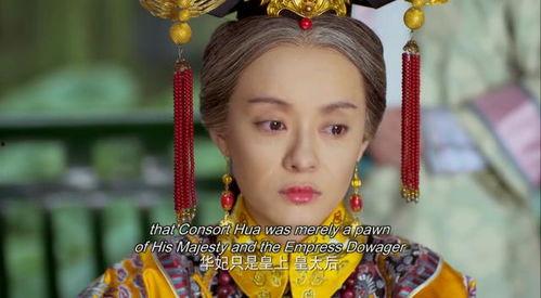 老年甄嬛回忆视频,宫廷风云中的岁月流转
