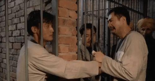 烹尸奇案免费观看土豆,土豆免费观看，揭秘惊悚悬疑背后的真相